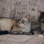 Gdzie na randkę z żoną?