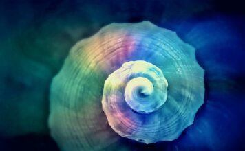 Jak prawidłowo skręcać w lewo na skrzyżowaniu?