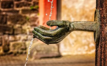 Jak czyścic muszle laktacyjne?